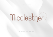 Micolesther Font Poster 1