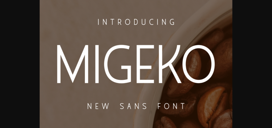 Migeko Font Poster 3