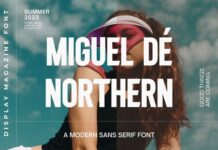 Miguel De Northern Font Poster 1