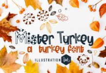 Mister Turkey Font Poster 1