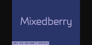 Mixedberry Font Poster 1