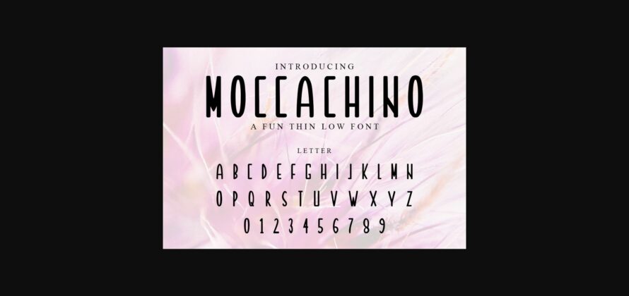 Moccachino Font Poster 5