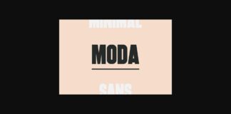 Moda Font Poster 1