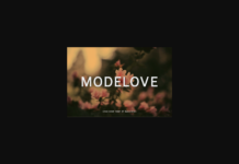 Modelove Font Poster 1