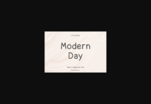 Modern Day Font Poster 1