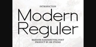 Modern Reguler Font Poster 1