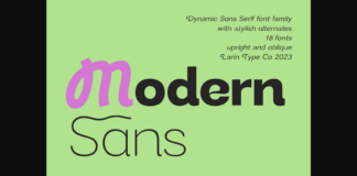 Modern Sans Font Poster 1