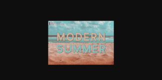 Modern Summer Font Poster 1
