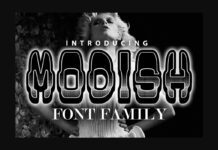 Modish Font Poster 1