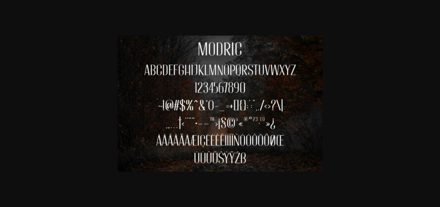 Modric Font Poster 6