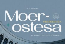 Moerostesa Font Poster 1