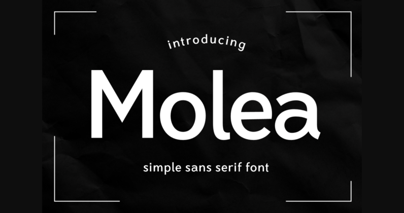 Molea Font Poster 3