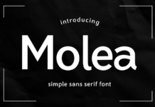 Molea Font Poster 1