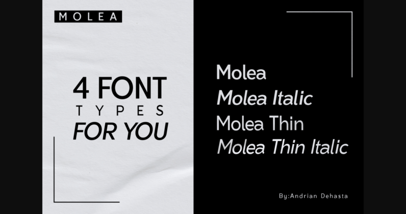 Molea Font Poster 7