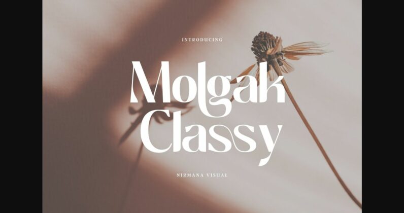 Molgak Classy Font Poster 3