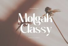 Molgak Classy Font Poster 1