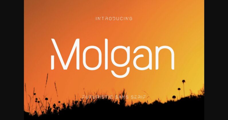 Molgan Font Poster 3