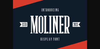 Moliner Font Poster 1