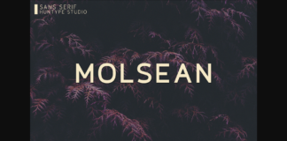 Molsean Font Poster 1