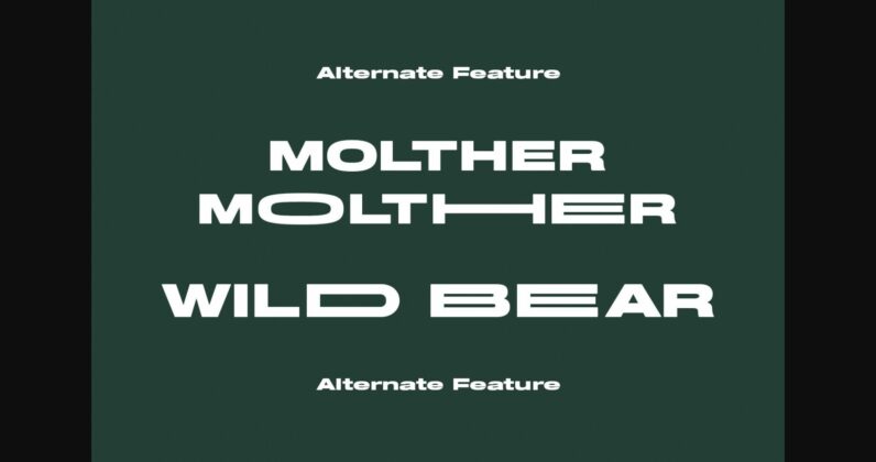 Molther Font Poster 10