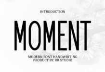 Moment Font Poster 1