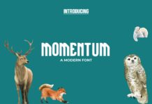 Momentum Font Poster 1