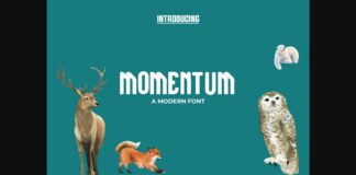 Momentum Font Poster 1