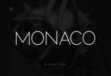 Monaco Font Poster 1