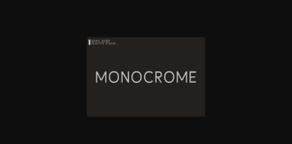 Monocrome Font Poster 1