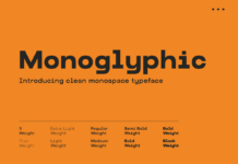 Monoglyphic Font Poster 1