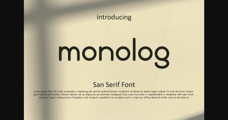 Monolog Font Poster 3