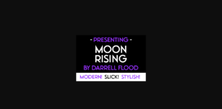 Moon Rising Font Poster 1