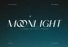 Moonlight  Font Poster 1