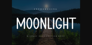 Moonlight Font Poster 1