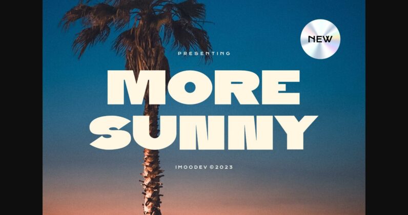 More Sunny Font Poster 3
