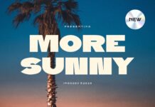 More Sunny Font Poster 1