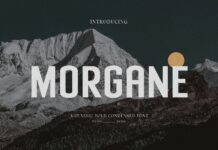 Morgane Font Poster 1