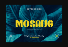 Mosang Font Poster 1