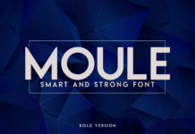 Moule Bold Font Poster 1