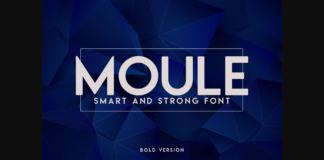 Moule Bold Font Poster 1