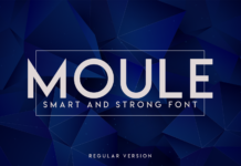 Moule Font Poster 1