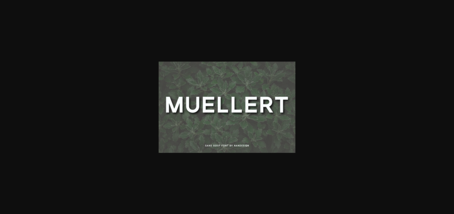 Muellert Font Poster 3
