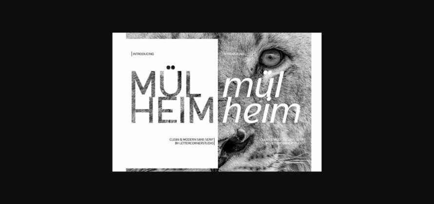 Mulheim Font Poster 3