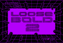 MultiType Lines Loose Bold 2 Font Poster 1