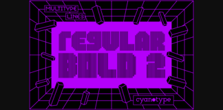 MultiType Lines Regular Bold 2 Font Poster 1