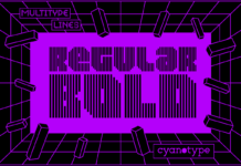 MultiType Lines Regular Bold Font Poster 1