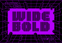 MultiType Lines Wide Bold Font Poster 1
