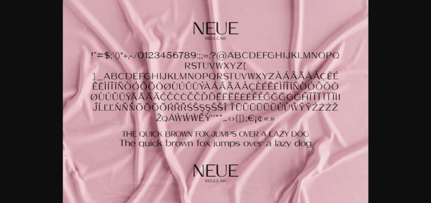 Neue Font Poster 7