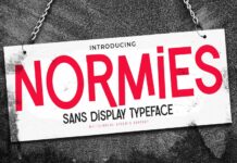 Normies Font Poster 1