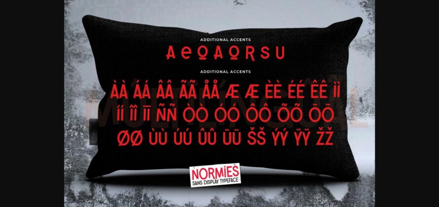 Normies Font Poster 9